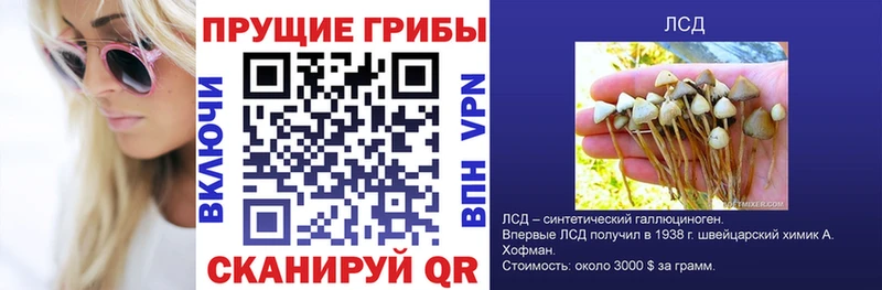 mega ссылка это официальный сайт Галлюциногенные грибы Cubensis Палласовка